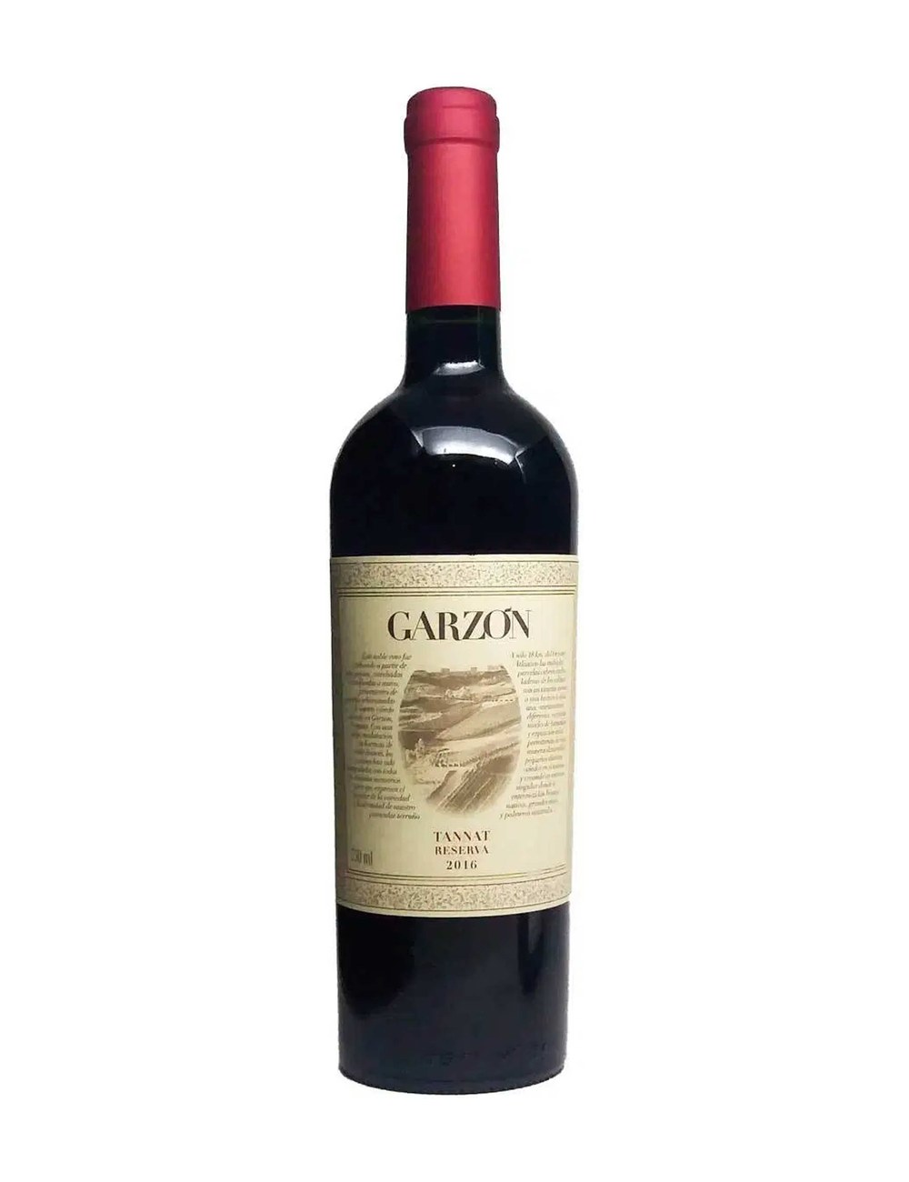 Garzón Reserva Tannat