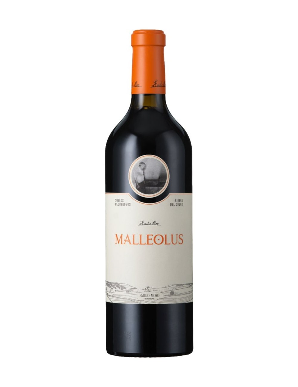 Malleolus