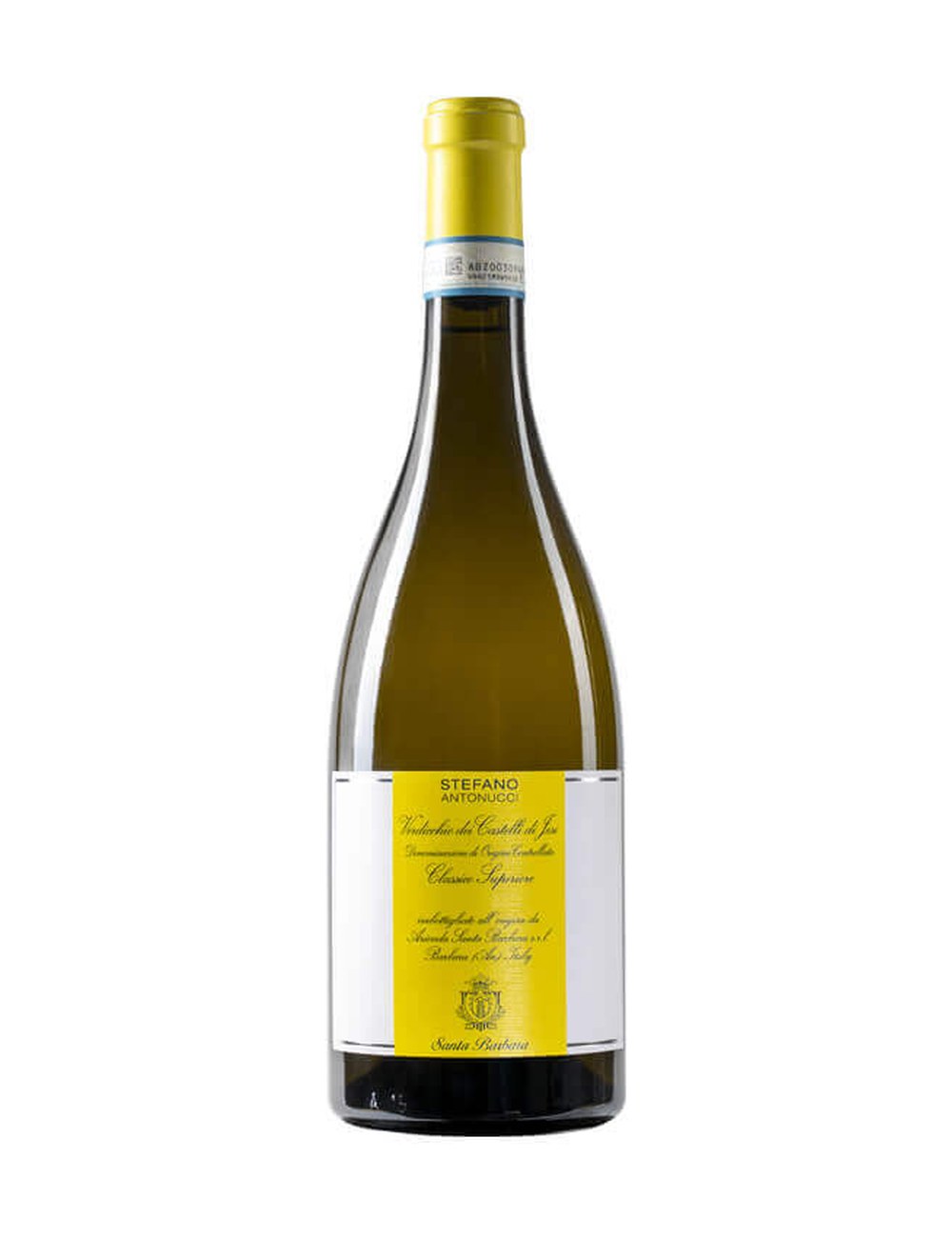 Stefano Antonucci Verdicchio