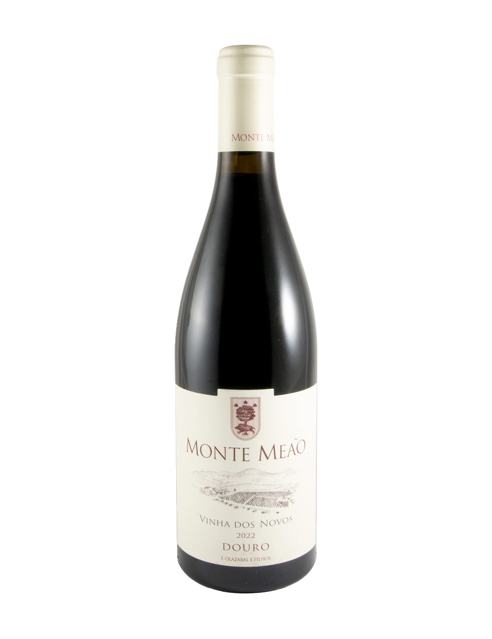Monte Meão