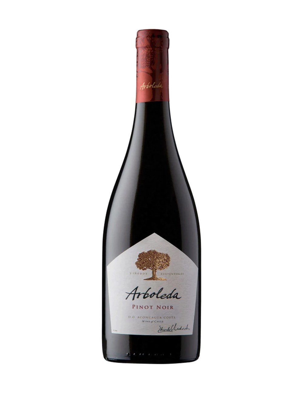 Arboleda Pinot Noir
