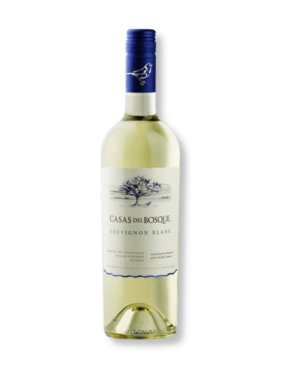 Casas del Bosque Sauvignon Blanc